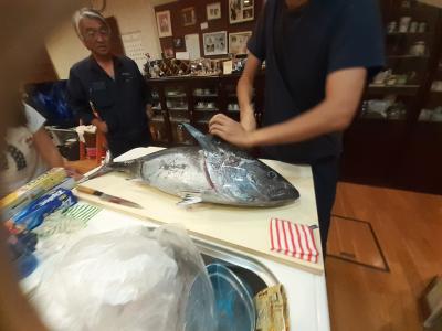 えーっ、マグロって釣れるの⁉